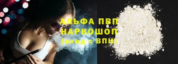 крисы Алзамай