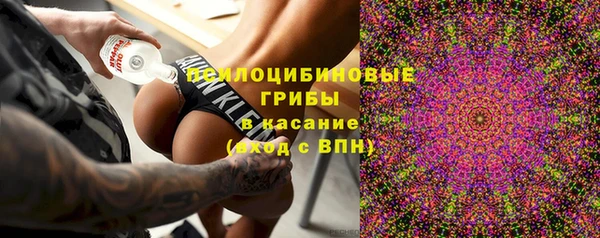 гидра Алексин