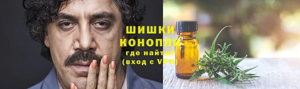 гидра Алексин