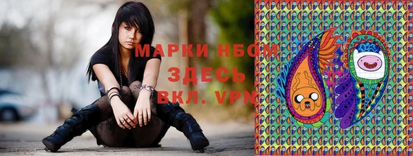 крисы Алзамай