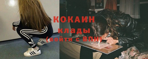 гидра Алексин