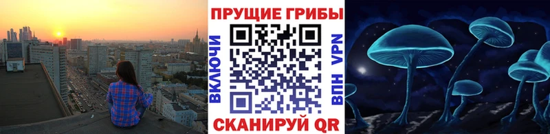 Купить  Высоковск  Псилоцибиновые грибы мухоморы 